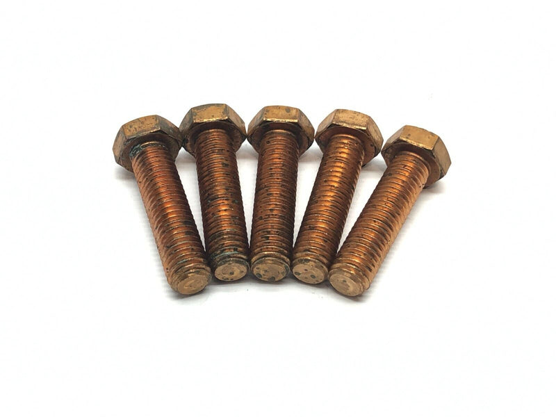 1/2-13 UNC x 2" Length Under Head Hex Head Cap Screw Silicone Bronze LOT OF 5 - Maverick Industrial Sales