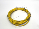 Turck PKW 3M-P7X2-6 Single-Ended M8 3-Pin Female Cordset U0052-2 - Maverick Industrial Sales