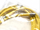 Turck PKG 3M-3-PSG 3M Double Ended Cordset 3m Length U2516-36 - Maverick Industrial Sales