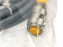 Turck VB2-FSM 4.4/2RK 4.4T-1/2/S651 2-Branch Splitter Cable M12 4-Pin U2-05864 - Maverick Industrial Sales