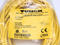 Turck PKG 4M-10 Pico Fast Cordset U99-10780 - Maverick Industrial Sales