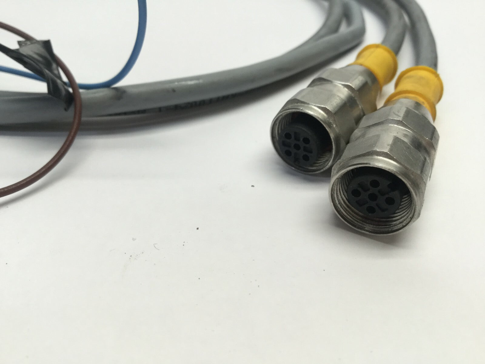 Lot of (2) Turck RKV 4T-6 Eurofast Cordsets U5161, Connected, Approx. 2’ - Maverick Industrial Sales