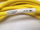 Lumberg Automation RSRK 40-637/10M Double-Ended Cordset M to F 4-Pin 500004240 - Maverick Industrial Sales