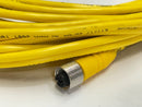 Lumberg Automation RKT 4-633/15M Sensor Actuator Cable F M12 4-Pin 15m 600001489 - Maverick Industrial Sales