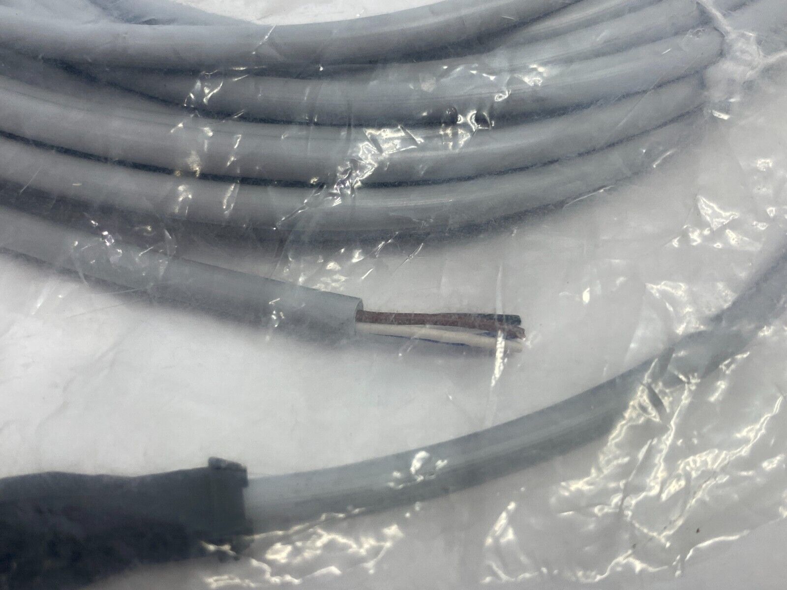 Murrelektronik 7000-12221-2141000 Single-Ended Cordset M12 Female - Maverick Industrial Sales