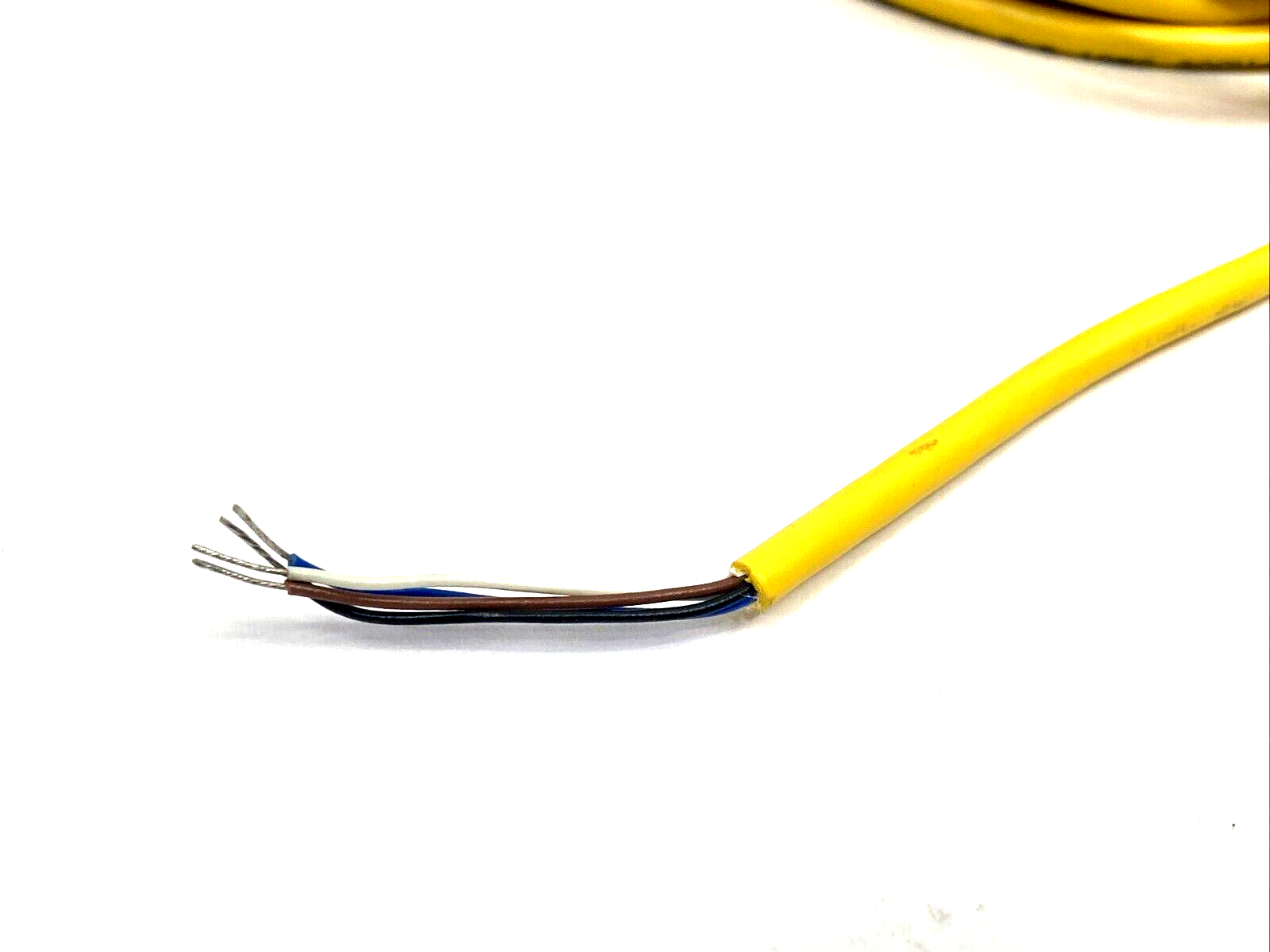 Turck PKG 4M-10 Cordset M8 Female 4-Pin to Leads, 10m U99-10780 - Maverick Industrial Sales
