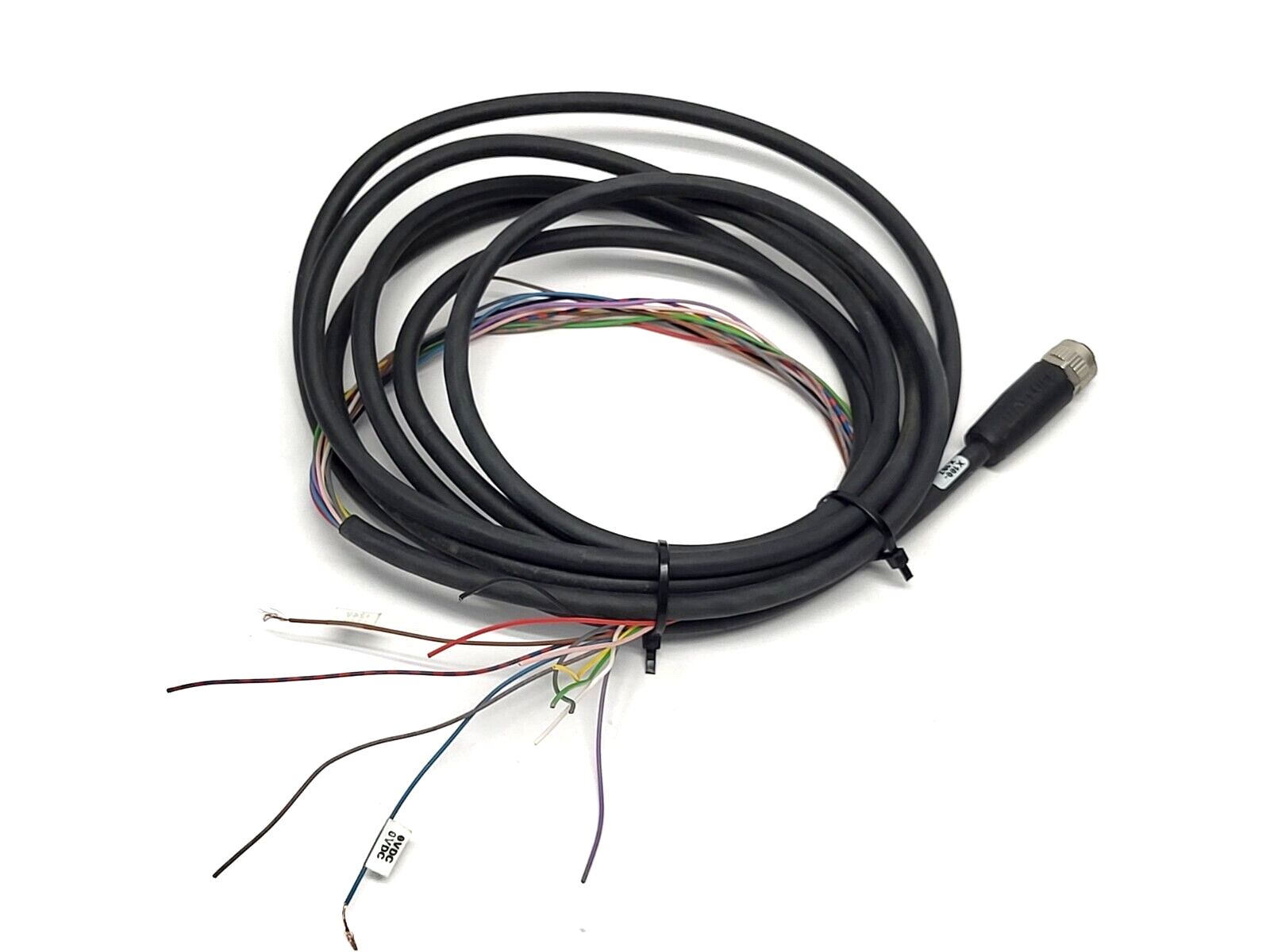 Balluff BCC06UL BCC M41C-0000-1A-049-PX0C25-050 Single End Cordset - Maverick Industrial Sales