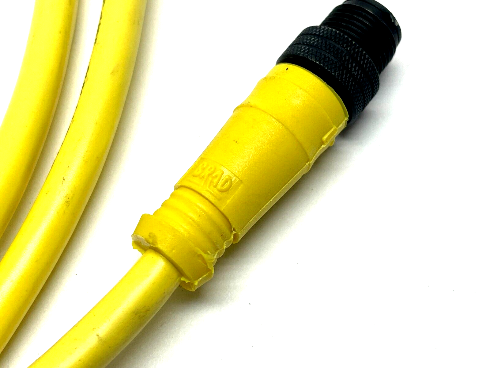 Brad Connectivity 1200668234 Single Ended Cordset 5ft Length - Maverick Industrial Sales