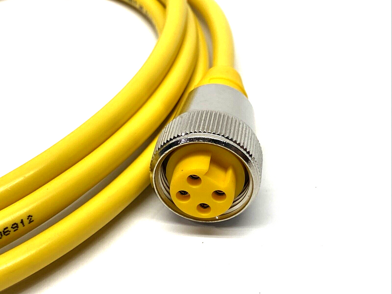 Turck RKM 40-2M Actuator & Sensor Cable 7/8" 4-Pin Female 2m, U2043 - Maverick Industrial Sales