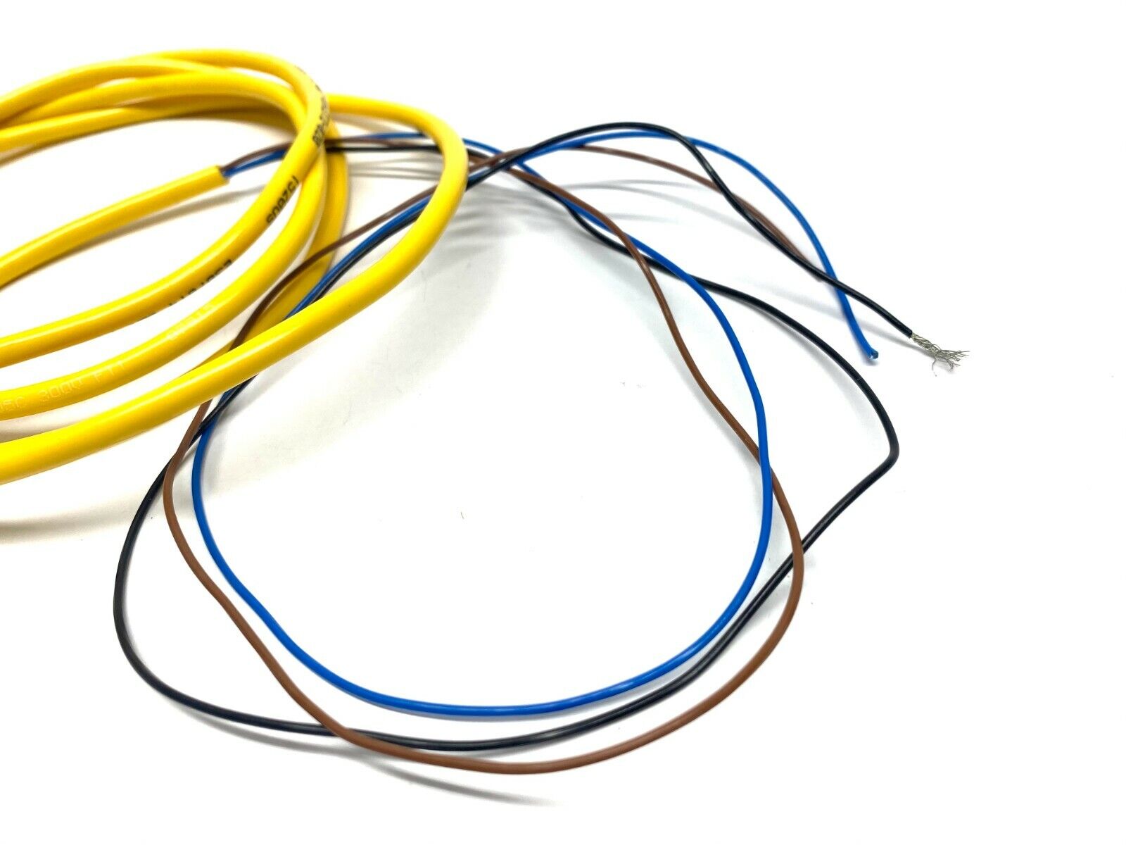 Balluff BCC050Y Single Ended Cordset BCC M313-0000-10-001-VX43T2-020 - Maverick Industrial Sales