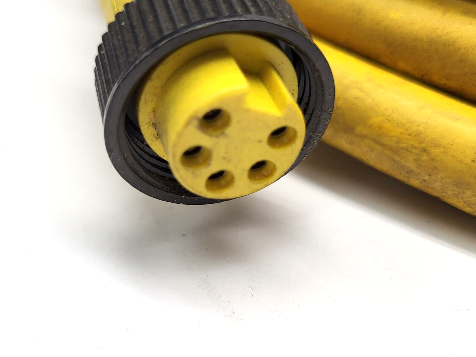 Brad Harrison 105000C01F200 5-Pin Female Connector 2' Cable - Maverick Industrial Sales