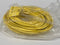 Turck RK 40-25M Single-Ended Cordset 4-pin 7/8"-16 Minifast Female U2060-1 - Maverick Industrial Sales