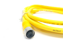 Lumberg RST 4-RKT 4-643/2M Cordset M12 4-Pin Male To Female 2m 600002330 - Maverick Industrial Sales