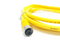 Lumberg RST 4-RKT 4-643/2M Cordset M12 4-Pin Male To Female 2m 600002330 - Maverick Industrial Sales