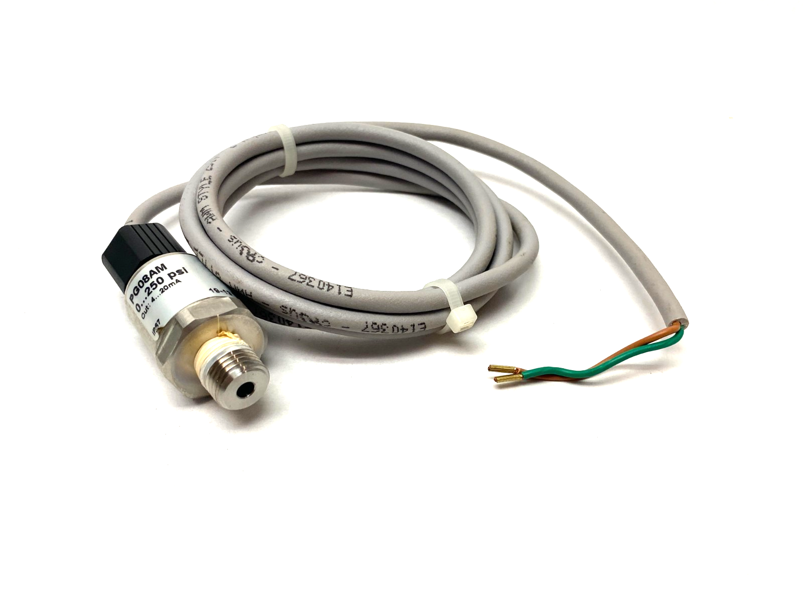 Veris PG08AM Static Pressure Gauge Sensor, 0... 250psig, 316SS - Maverick Industrial Sales