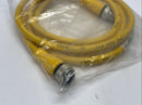 Turck RKC 4.4T-1.5-RSC 4.4T/S101 Sensor Cordset M/F M12 4-Pin 1.5m U-32295 - Maverick Industrial Sales