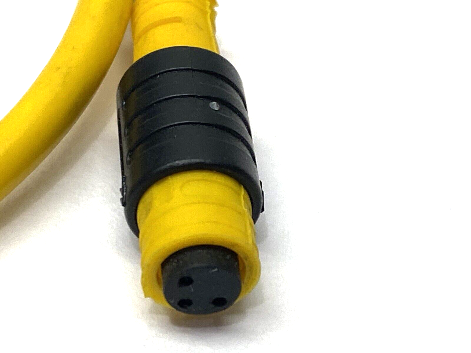 Turck PKG 3Z-5 Single-Ended Cable U0066-5 - Maverick Industrial Sales