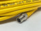 Turck PKG 3M-6-PSG 3M Actuator Sensor Cable F M8 3-Pin M M8 3-Pin 6m U2515-80 - Maverick Industrial Sales