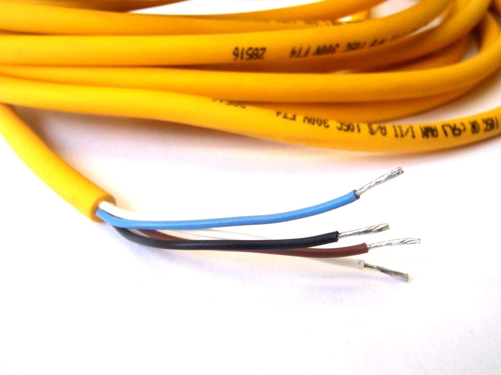 Turck RK 4.4T-6/S1587 20' Eurofast Molded Cordset PLC M12 U-02030 - Maverick Industrial Sales