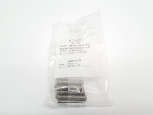 B-0913A26X30 | Brikksen  Stainless Socket Set Screw Flat Point M6-1.0 x 30 10 pack- New – Open box