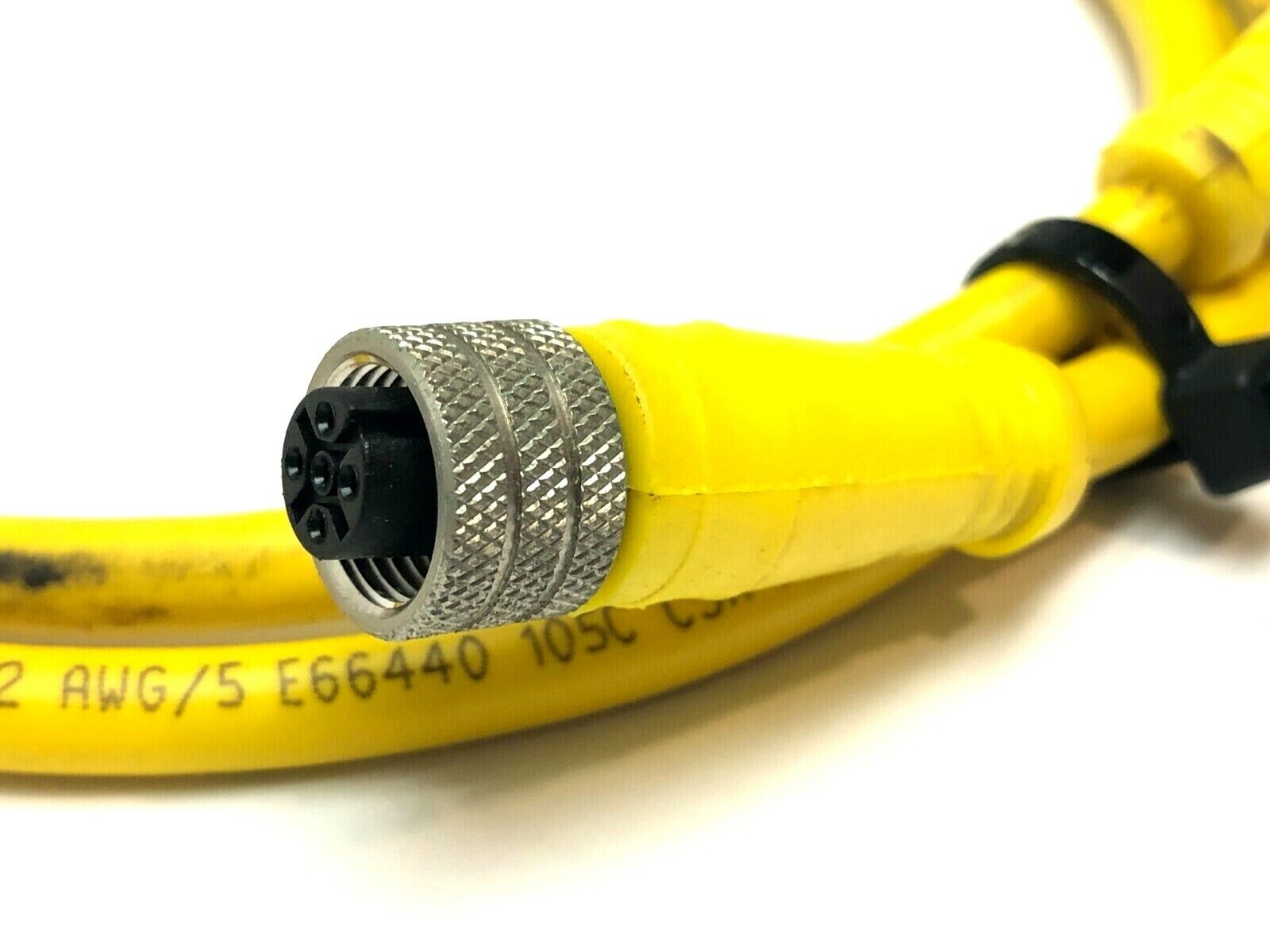 Woodhead Connectivity/Brad Harrison 885030D01M010 M/F 5-Pin Cordset 1M Length - Maverick Industrial Sales