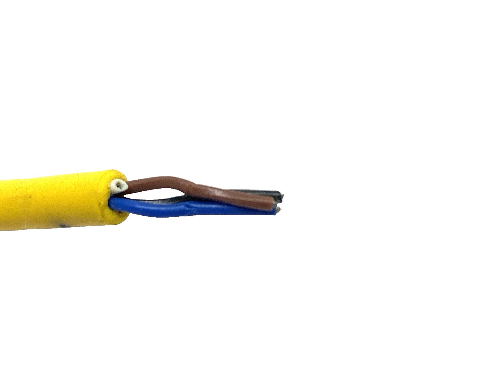 Turck PKG 4M-10 Single-Ended Cordset M8 Female Connector U99-10780 CUT TO 3' - Maverick Industrial Sales