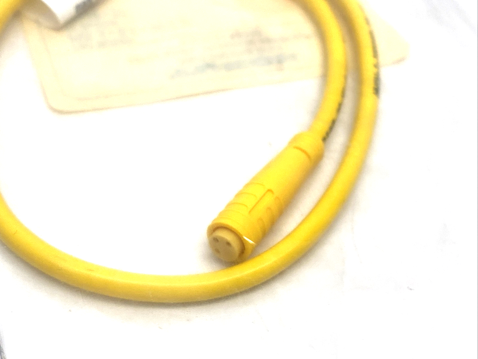 Turck PKG 3-0.5-MFS 3F Single Ended Cordset Snap In Female 3-Pin 0.5m U2516-52 - Maverick Industrial Sales