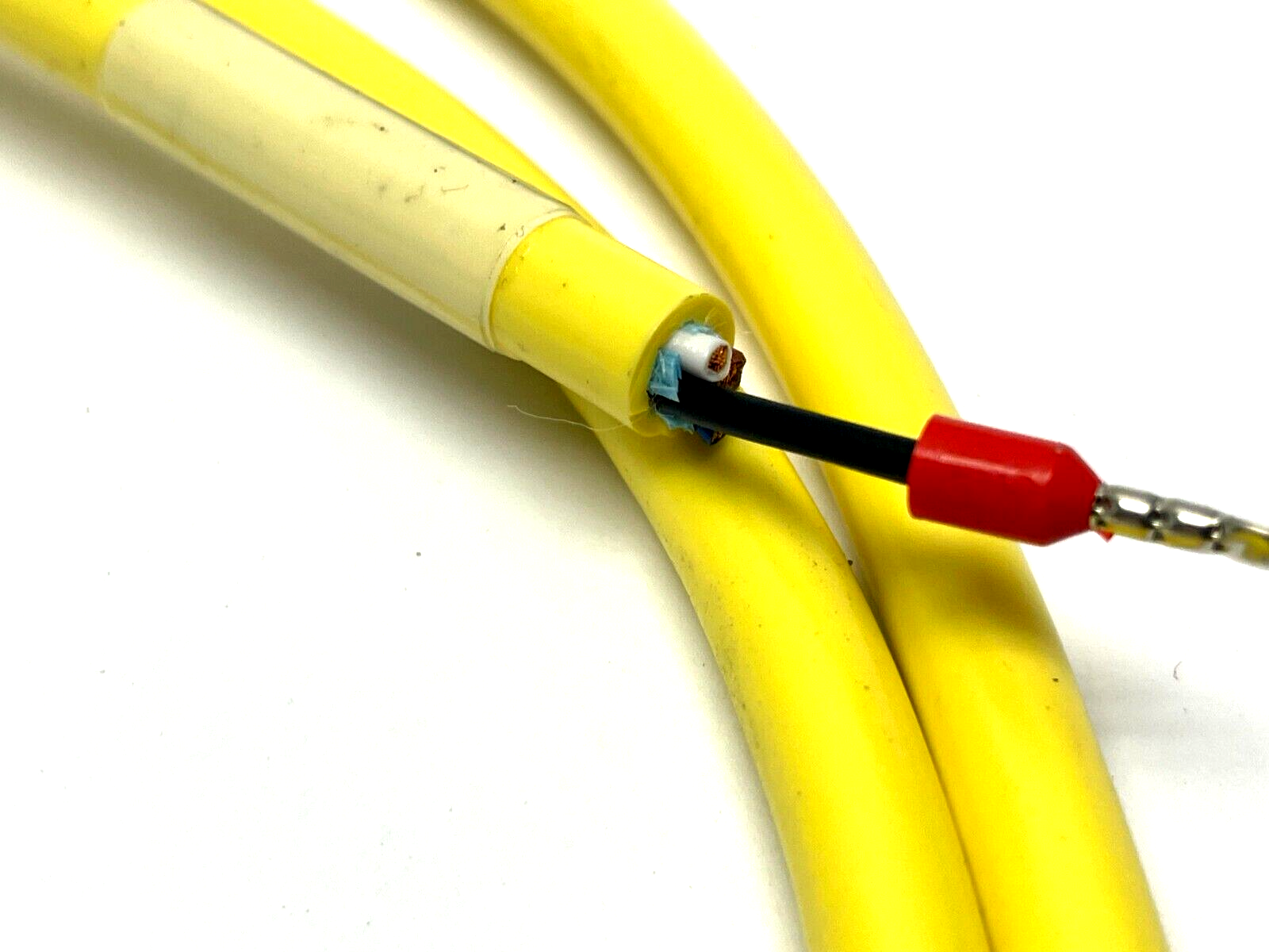 Brad Connectivity 1200668234 Single Ended Cordset 5ft Length - Maverick Industrial Sales