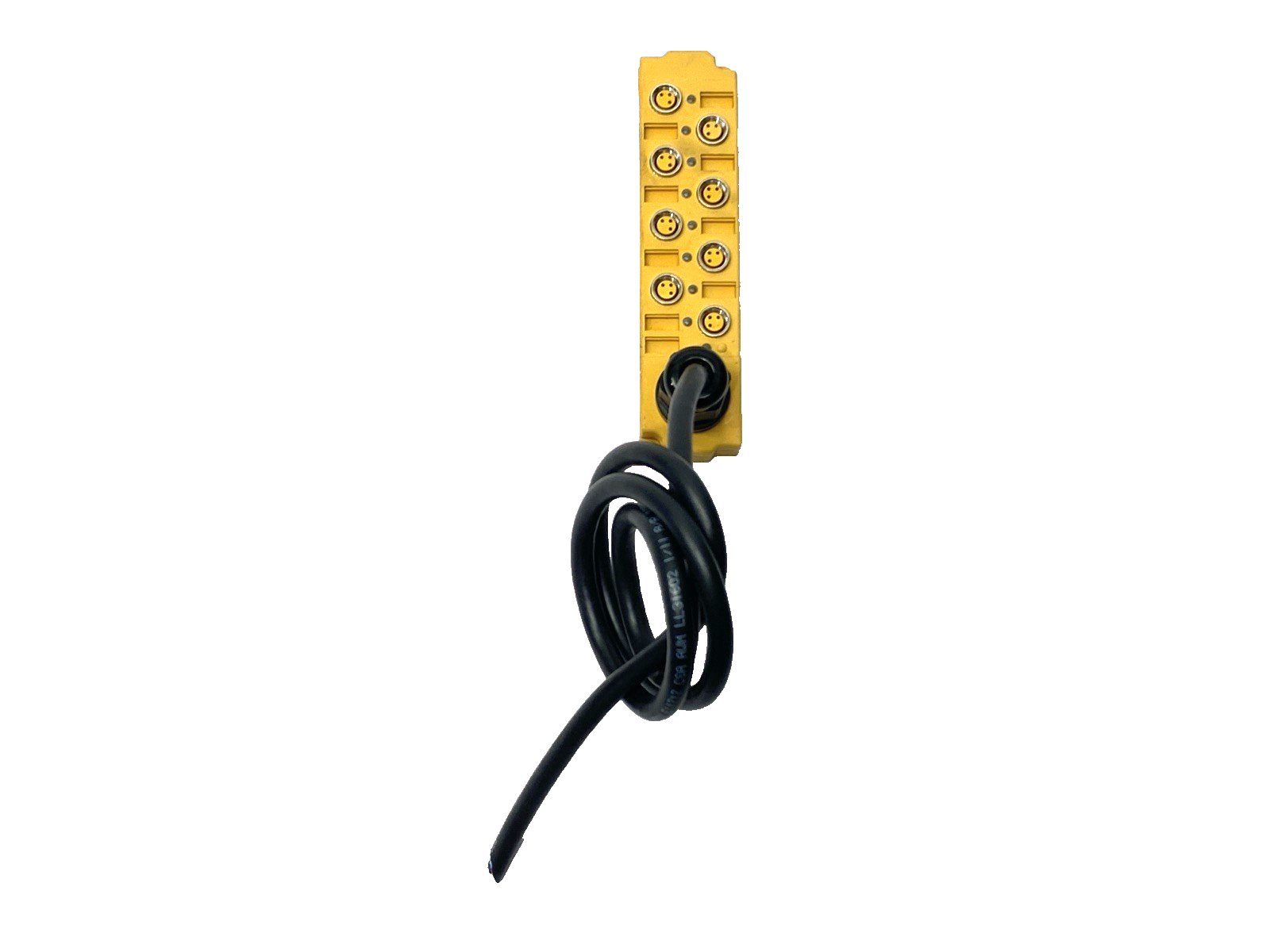 VB 803M-PX9-5 | Turck Junction Box 8-Port M8 3-Pin U7036-2 CABLE CUT TO 2' - Used - Maverick Industrial Sales
