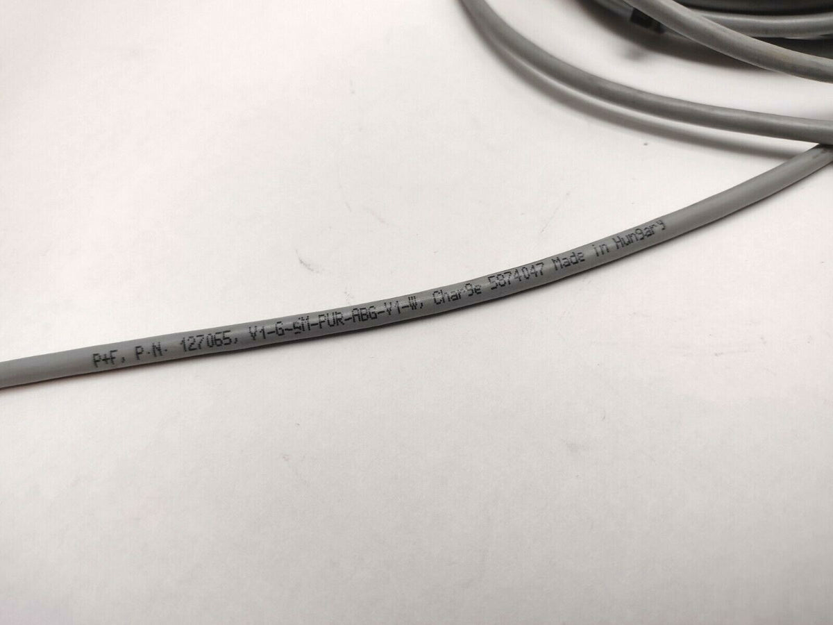 Pepperl+Fuchs V1-G5M-PUR-ABG-V1-W Double Ended Cordset 127065 - Maverick Industrial Sales