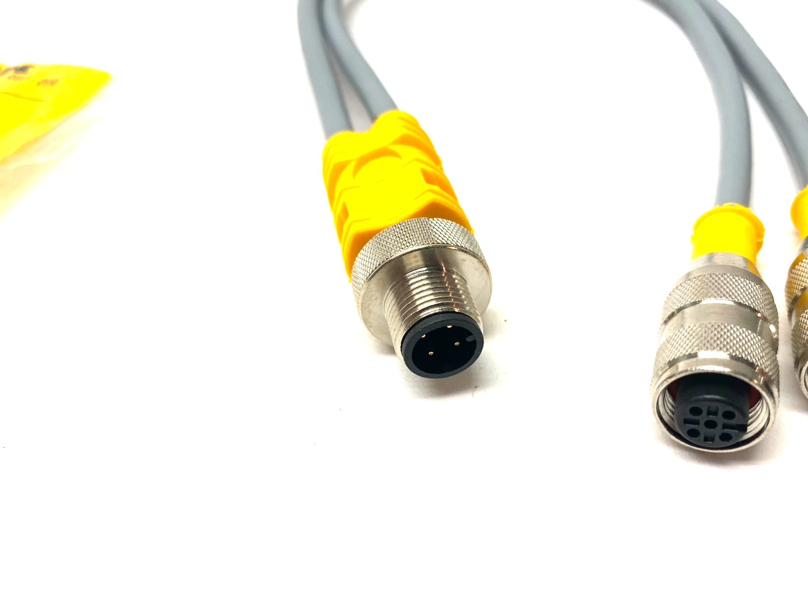 Turck VBRS 4.4-2RK 4T-0.3/0.3 Splitter Cable 2-Branch, M M12 to 2x F M12, U0117 - Maverick Industrial Sales