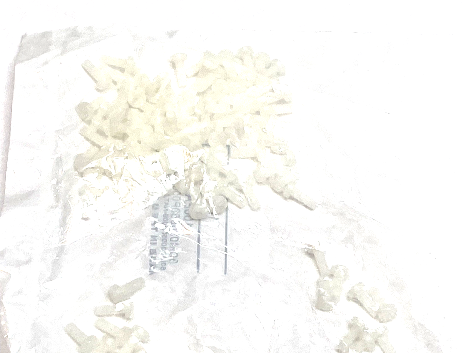 | Essentra 50M030050P008 Pan Phillips Screw M3 x 0.5 - 8mm Nylon White PKG OF 100 - New - Maverick Industrial Sales