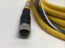 Pilz 533121 Connection Cable Female 4-Pin M8 6' CUT - Maverick Industrial Sales