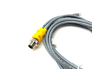 Turck VBRS 4.4-2/2 Splitter Junction Cordset M12 4-Pin to Dual Pigtail, U0117-02 - Maverick Industrial Sales