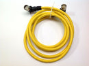 Turck CSWM CKWM 12-10-3/S101/BL67 Flex Life 12 Pin M/F Cordset U-14290 - Maverick Industrial Sales