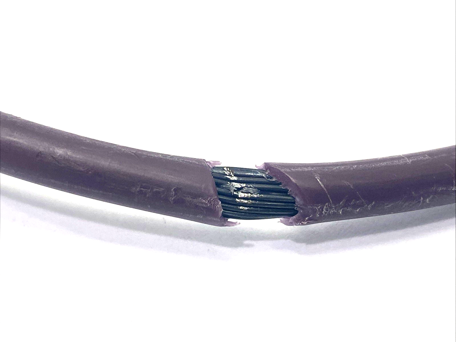 45900587