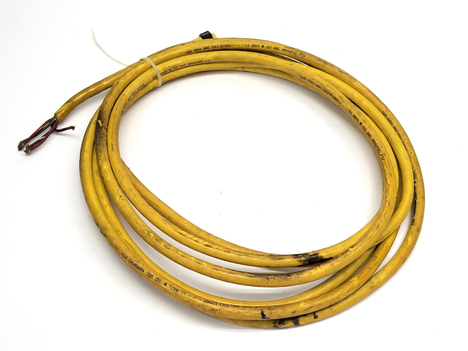 Brad Harrison 105000C01F200 5-Pin Female Connector 2' Cable - Maverick Industrial Sales