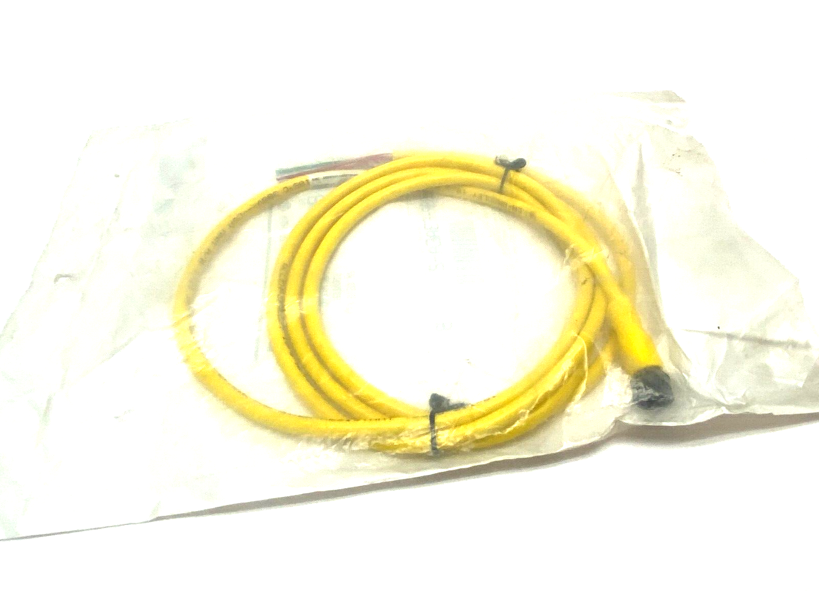 Allen Bradley 889R-F3AEA-2 Ser. B Straight AC Micro Cordset 3-Pin Female 2m - Maverick Industrial Sales