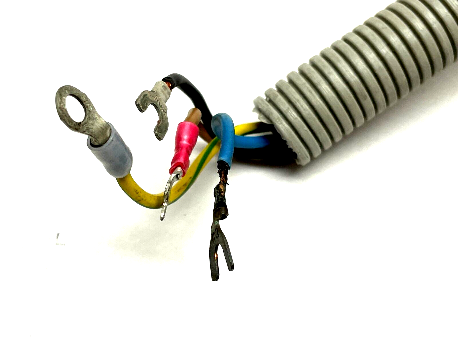 Motor Cable w/ G28 5-Pin Connector 15ft Length - Maverick Industrial Sales