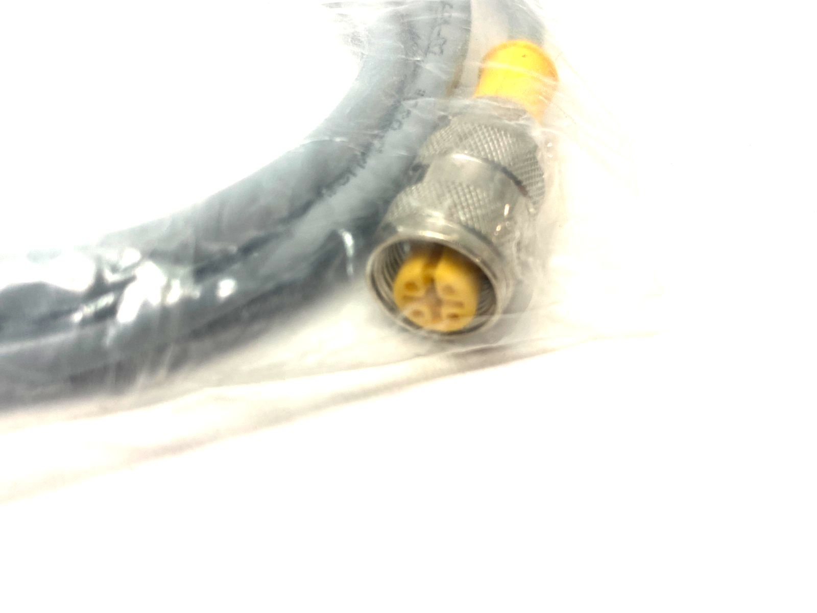 Turck RK 4T-2 Eurofast Single Ended Cordset M12 4-Pin U2151 - Maverick Industrial Sales