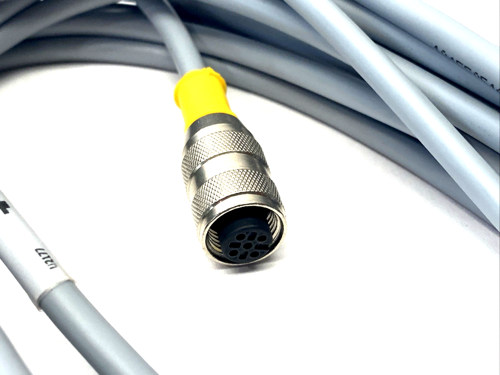 Turck RK 4.4T-6 Connection Cable M12 Female 4-Pin 6m U2177 - Maverick Industrial Sales