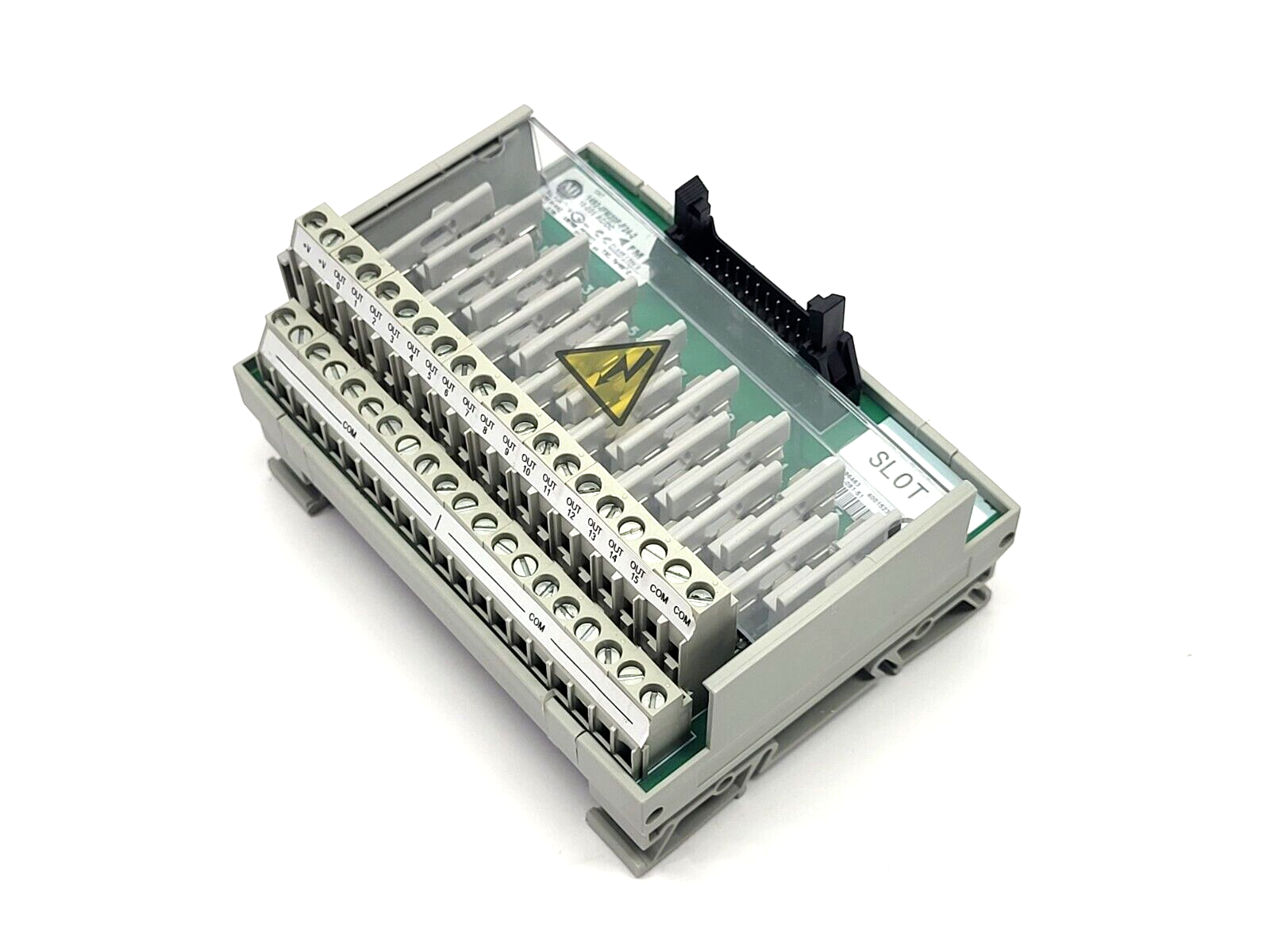 45019366