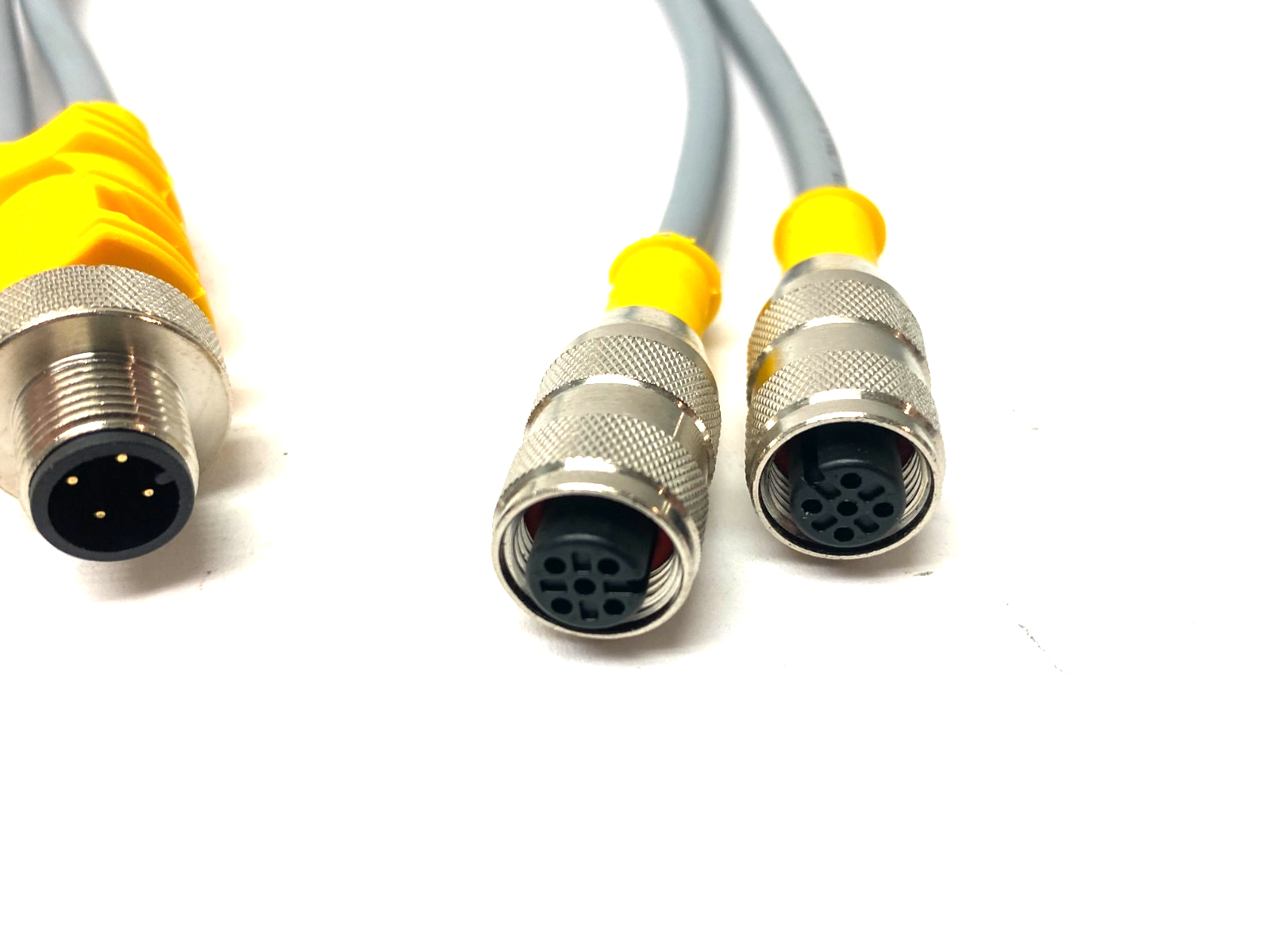 Turck VBRS 4.4-2RK 4T-0.3/0.3 Splitter Cable 2-Branch, M M12 to 2x F M12, U0117 - Maverick Industrial Sales