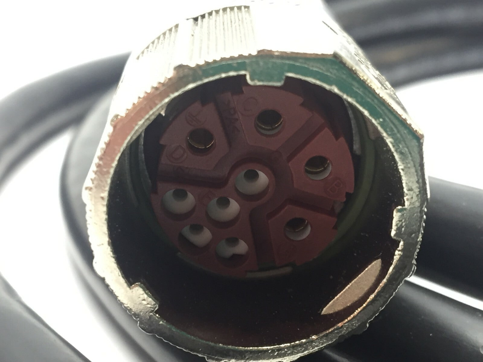 47550407