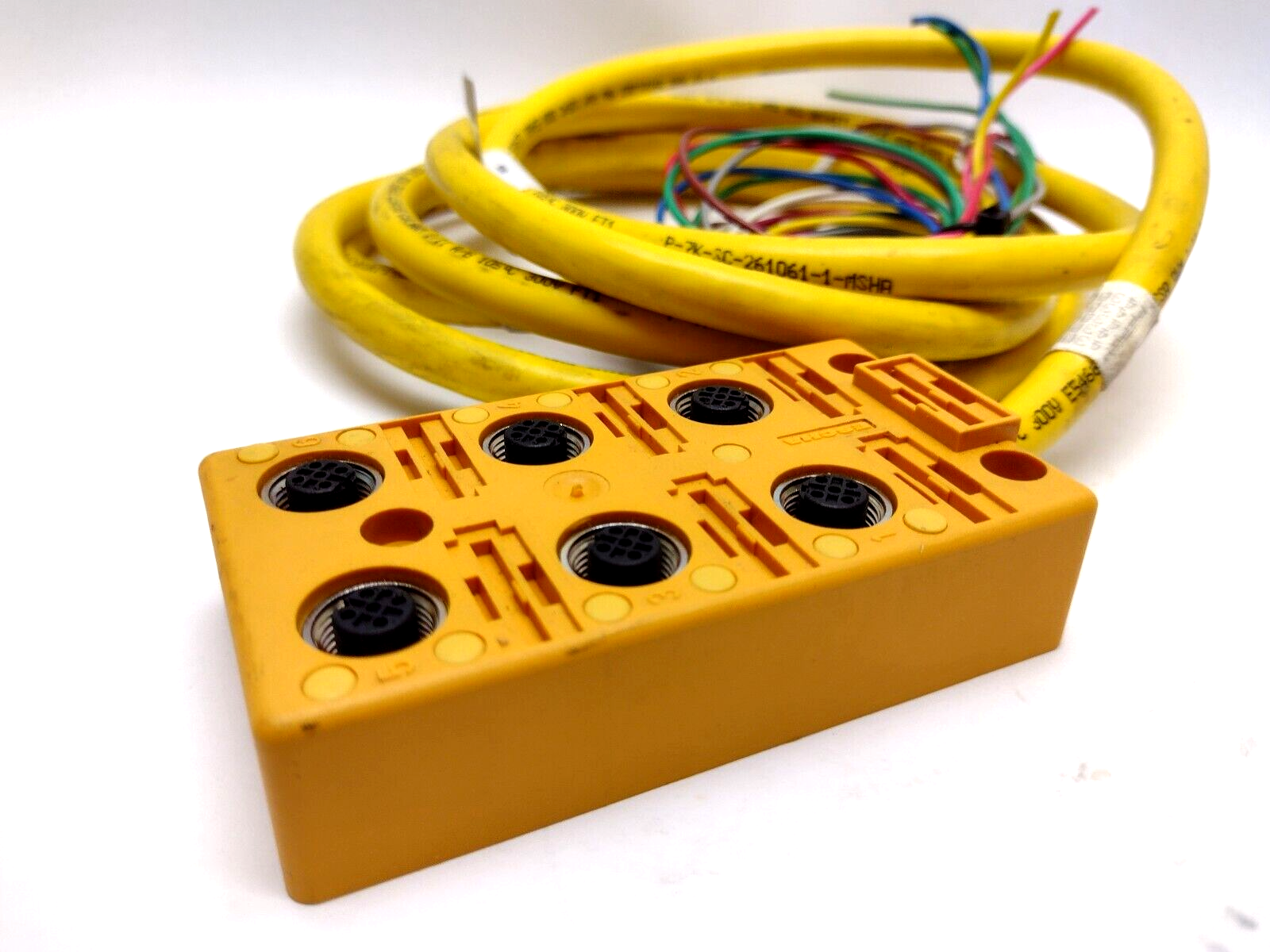 Turck VB 60-5 6-port Multi Box 48V Female M12x1 U7010, 8FT Home Run Cable - Maverick Industrial Sales
