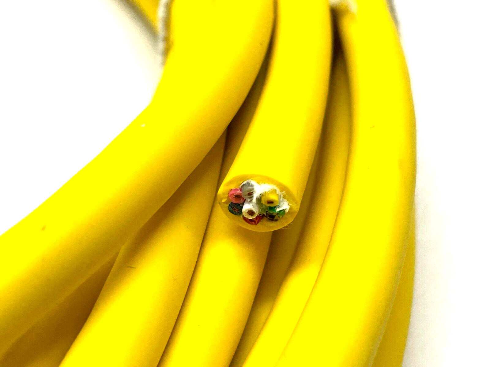 RKT 8-727/10M | Lumberg Automation Single-Ended Cordset 10m Length - New – Open box - Maverick Industrial Sales