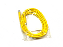 Turck PKG 3M-3.2-PSG 3M Picofast Double Ended Cordset U-83783 - Maverick Industrial Sales