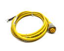 Turck RKM 40-2M Actuator & Sensor Cable 7/8" 4-Pin Female 2m, U2043 - Maverick Industrial Sales