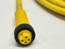 Lumberg Automation RSRK 401-839/5M Power Cable 7/8" 4-Pin Female 5m 500003685 - Maverick Industrial Sales