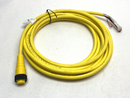 Lumberg Automation RK 90M-751/20F Single-Ended Sensor Cordset 500003194 - Maverick Industrial Sales